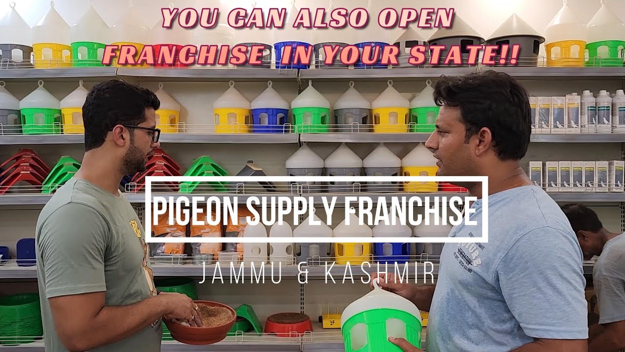PIGEON FEED , ACCESSORIES & SUPPLEMENT DISTRIBUTOR FOR JAMMU KASHMIR || KASHIF MALIK