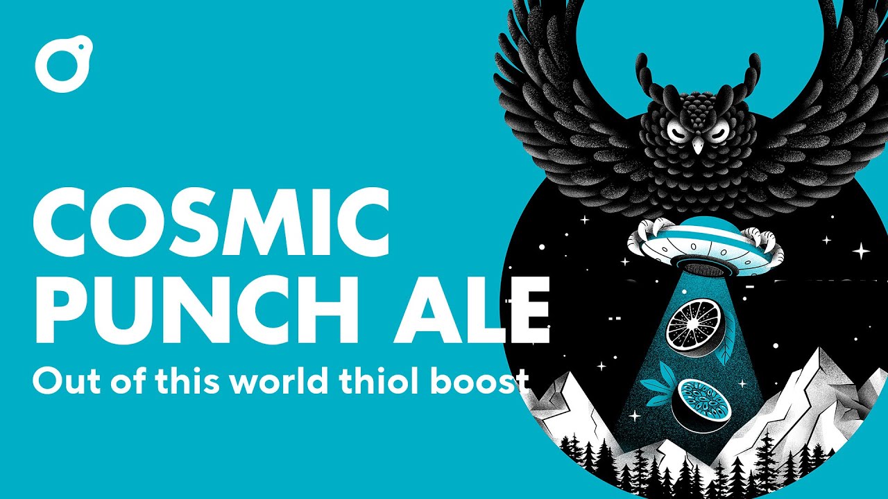 Cosmic Punch Ale (OYL-402)