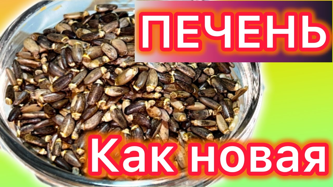 ПЬЮ и ОЖИВАЮ/ ПЕЧЕНЬ как НОВАЯ, ЧИСТЫЕ сосуды, ДАВЛЕНИЕ в норме, спас от 100 недуг