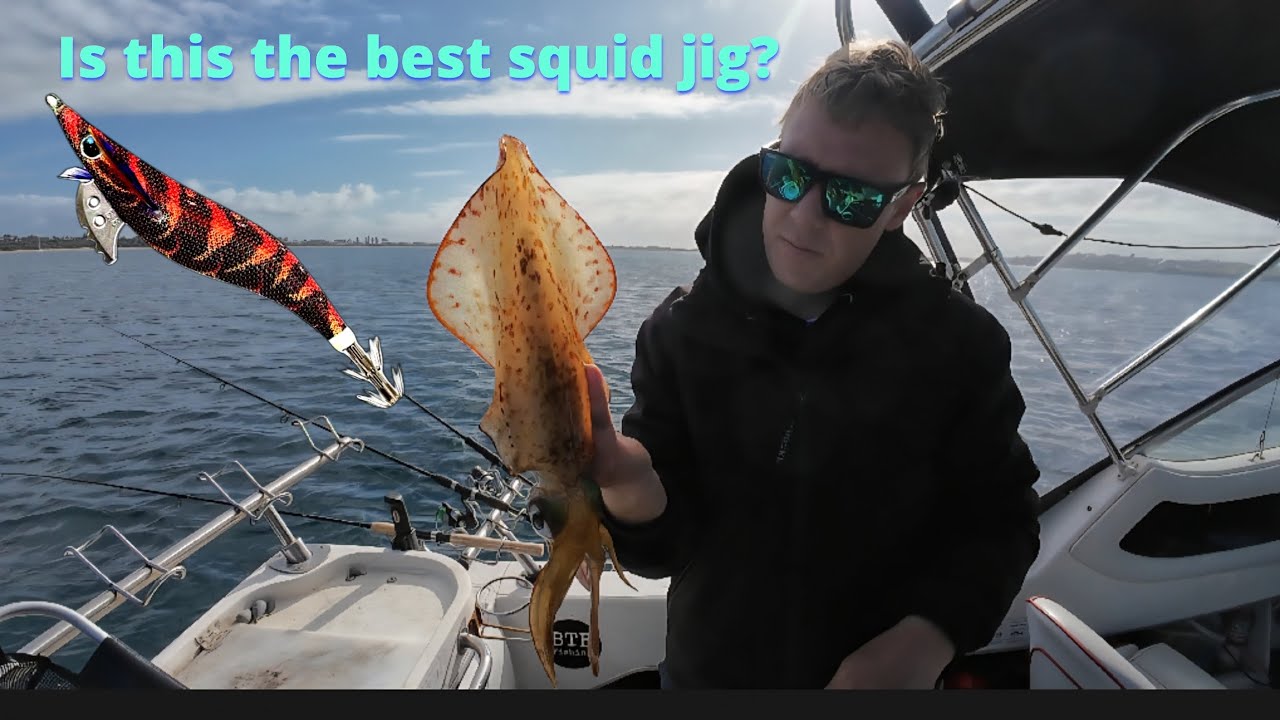 Westernport Bay squid fishing - what squid jig works best?   