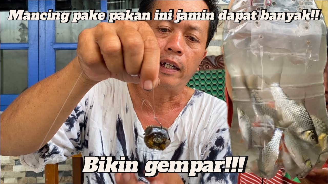 Tutorial cara bikin pancing ombyok pakai YUYU super gacor simpel dan praktis !! Pasti dapat banyak !