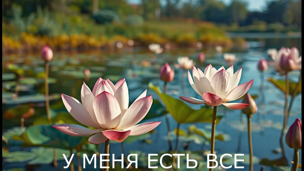 ПЕСНЯ . У МЕНЯ ВСЕ ЕСТЬ