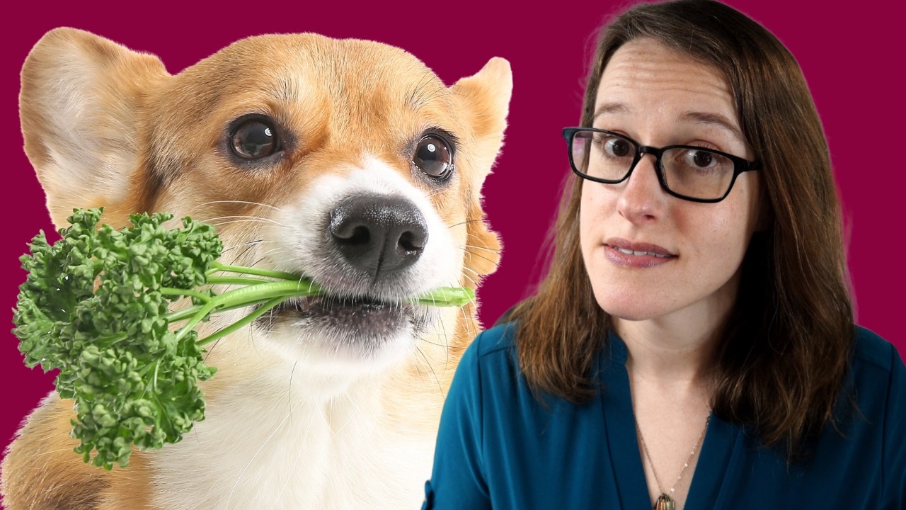 Your Dog Needs to Be Vegan