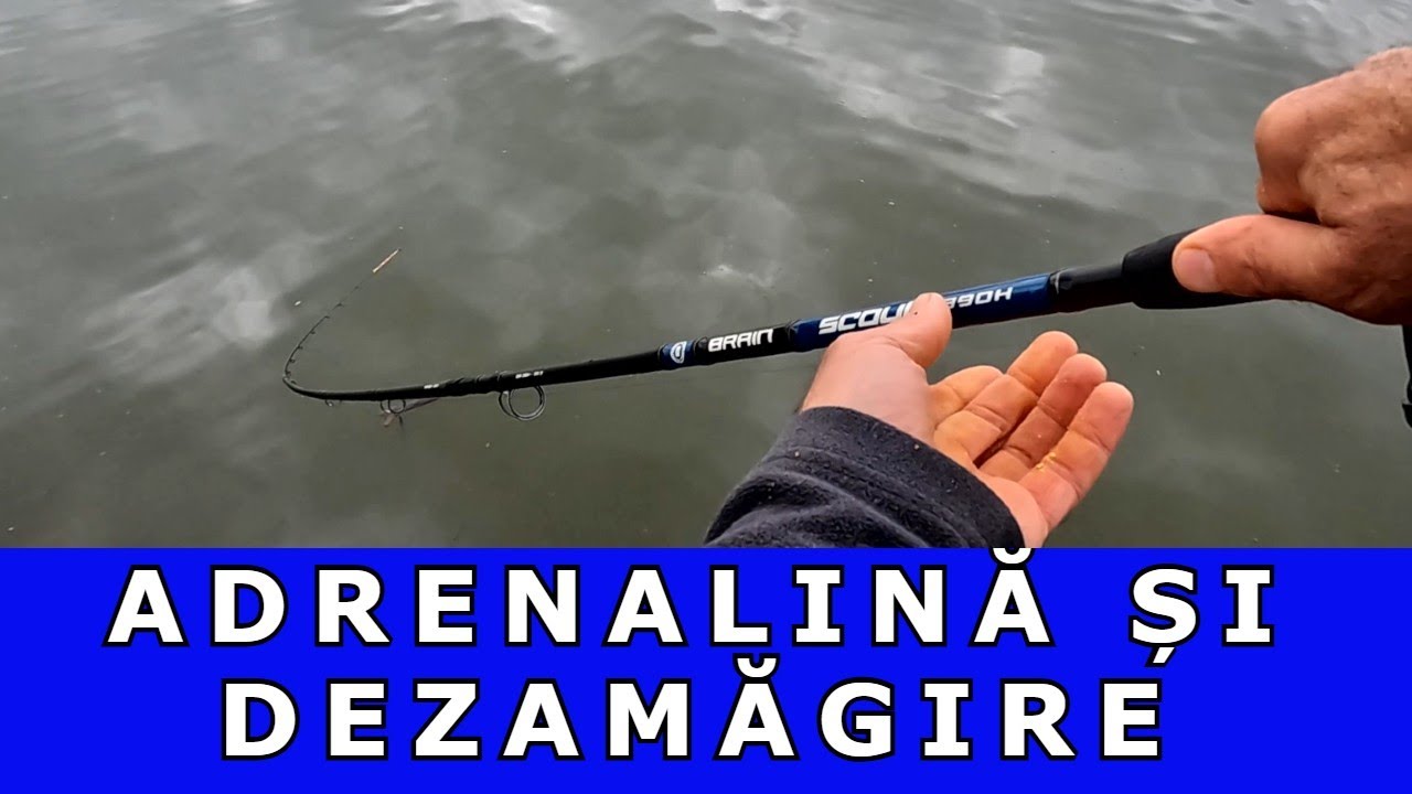 PESCUIT BALTA MITI