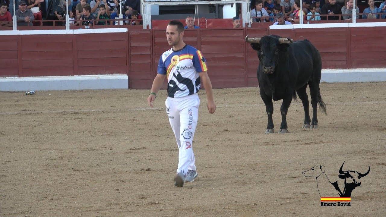 Concurso de cortes, quiebros y saltos en Guadarrama 2019 con ASTAURO