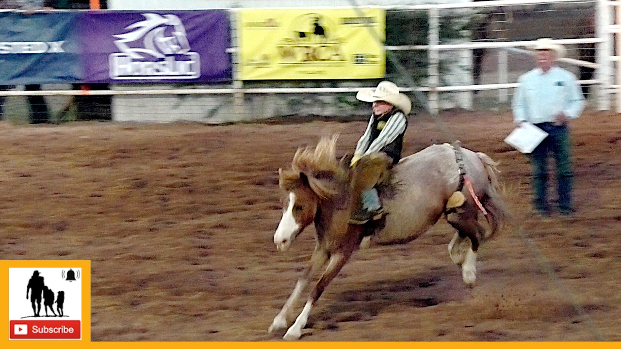 Miniature Bronc Riding -  2023 Motley / Dickens Old Settlers Rodeo | Saturday
