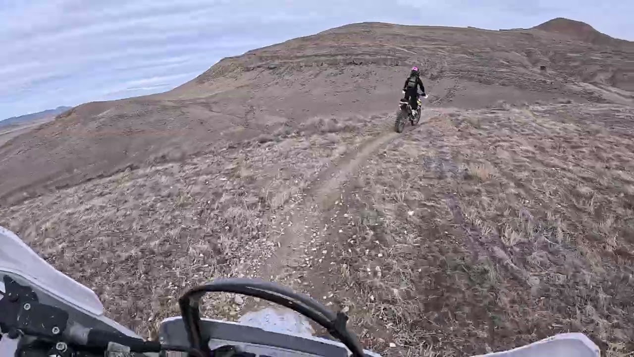 Exploring the crack