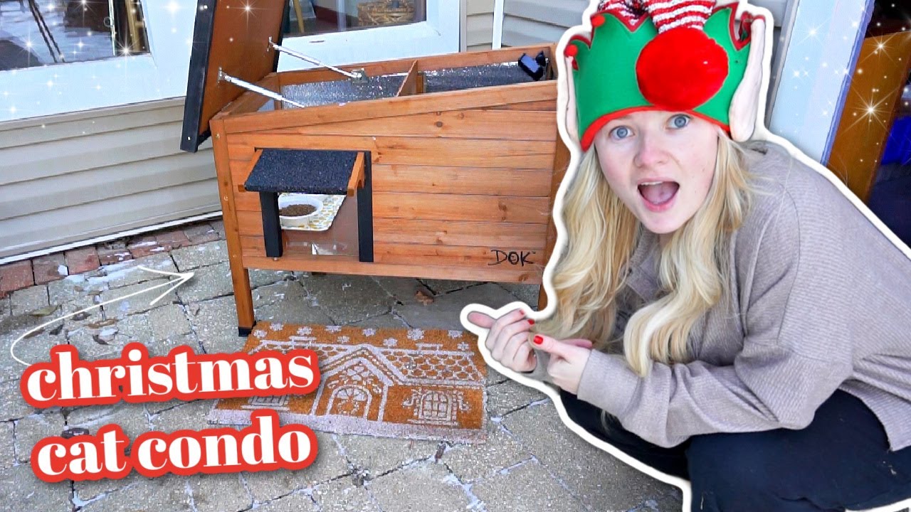 VLOGMAS DAY 14: Putting Together a Winter Cat Shelter + Dollar Tree Gift Ideas!