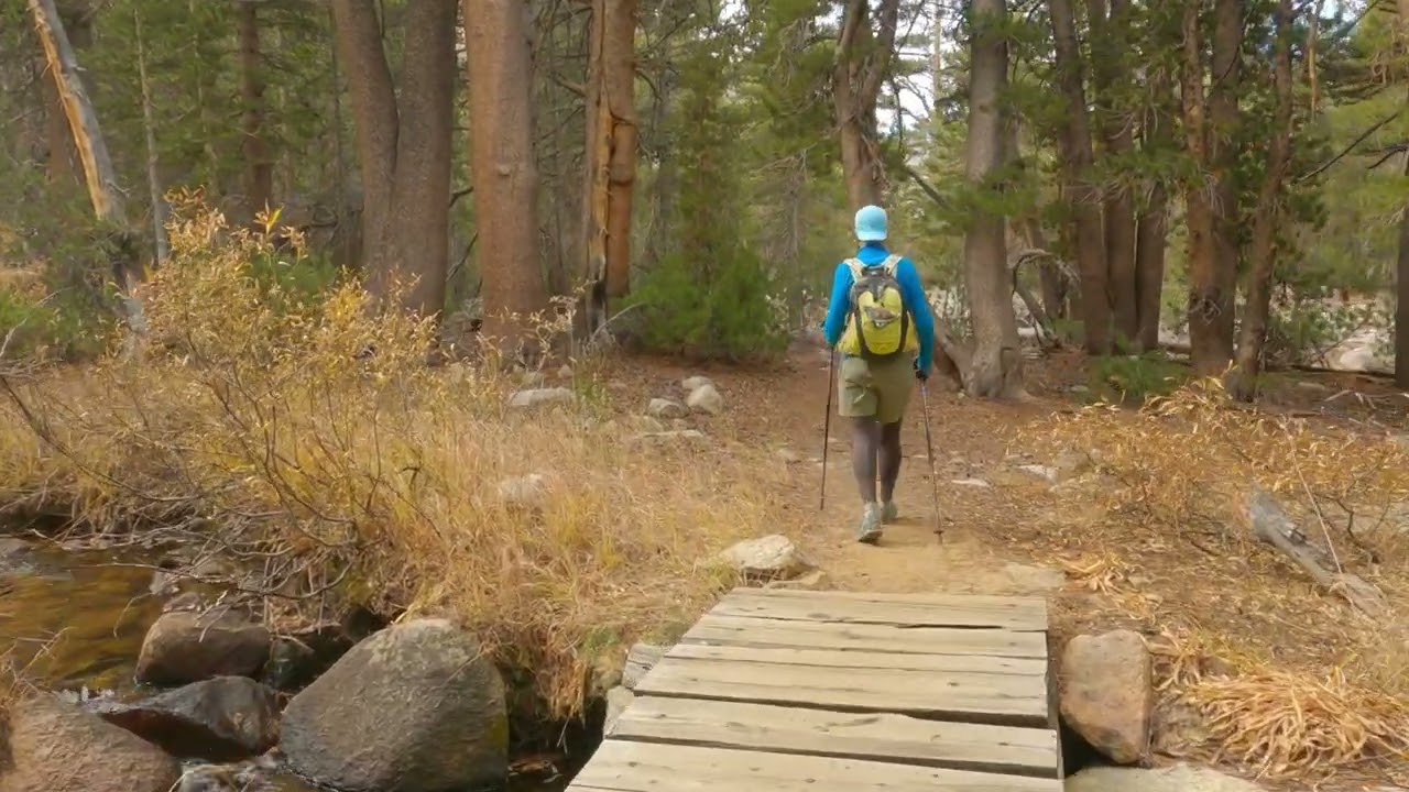 To George Lake 2024