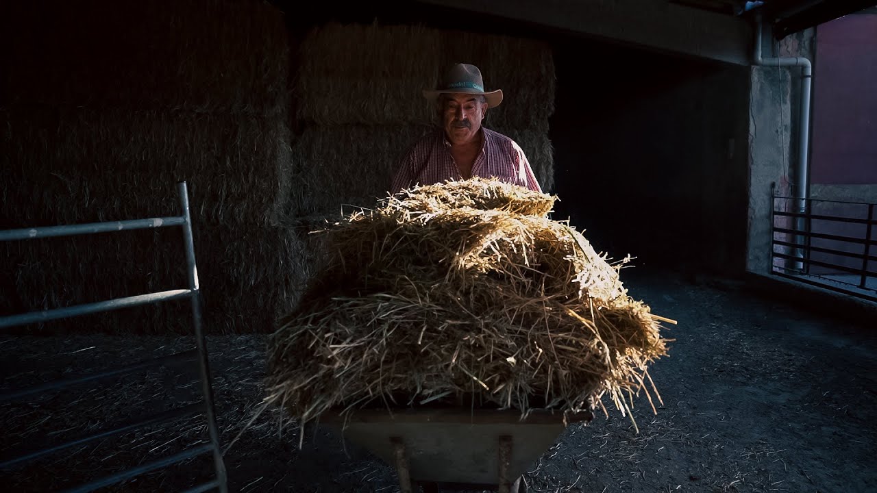 UN SUEÑO BAJO EL DUERO | La historia de Cobadu | Documental en HD