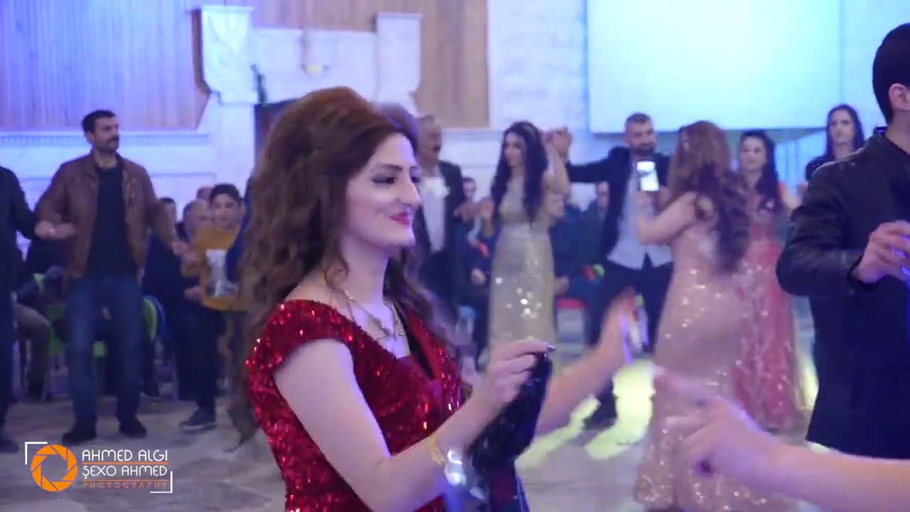 الفنان كاكلو شيخاني part02 هوكر خلو تصوير شيخو أحمد آلجي Algi   kakilo