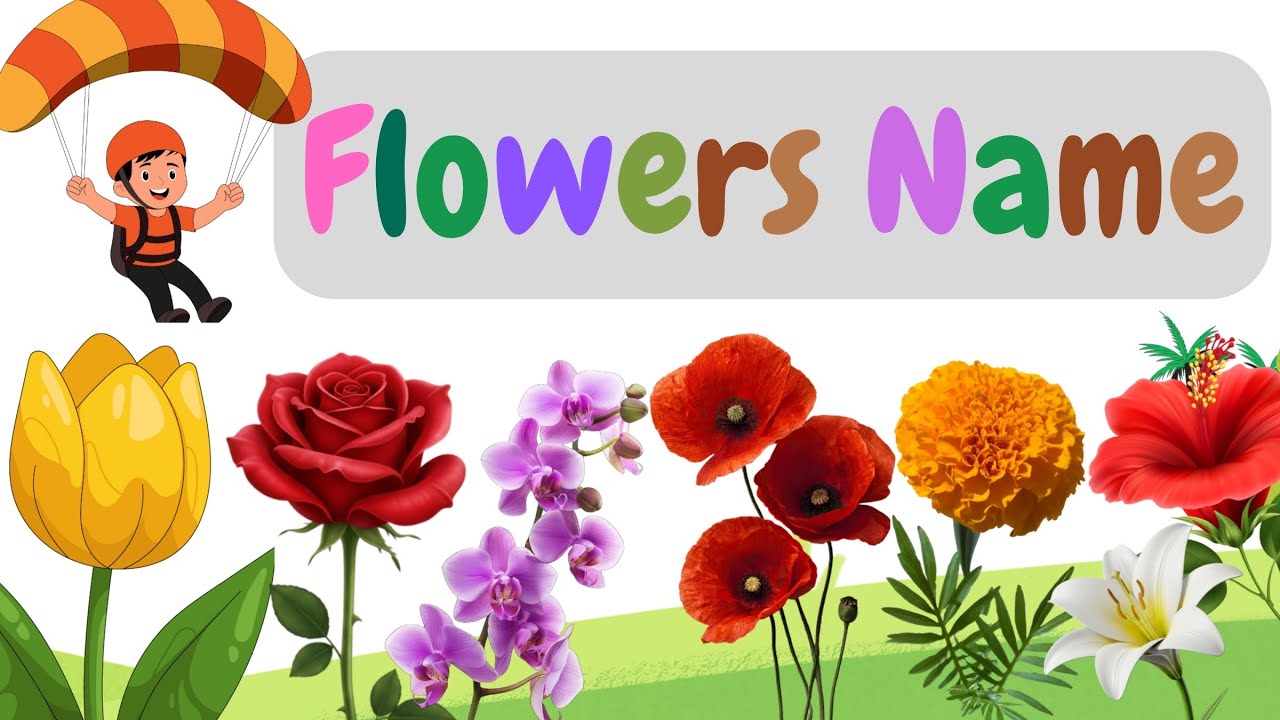 Flowers Name | Flowers | Educational Video | Flowers in English | Learn Flower Names with Pictures