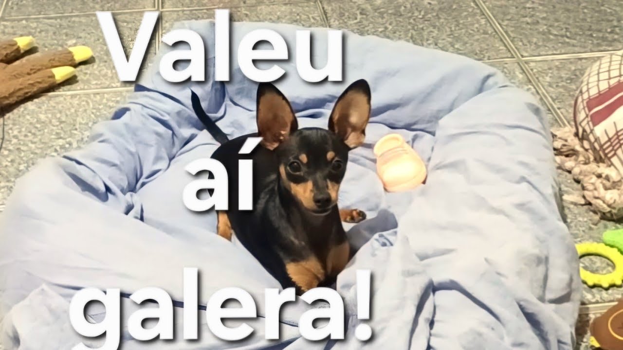 Como tentar destruir a caminha coberta com um lençol.