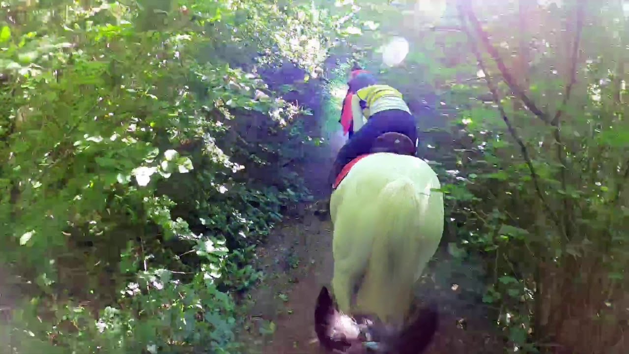 Woodland Hacking & Dropped Whips🤣  | GOPRO | Emme Equestrian