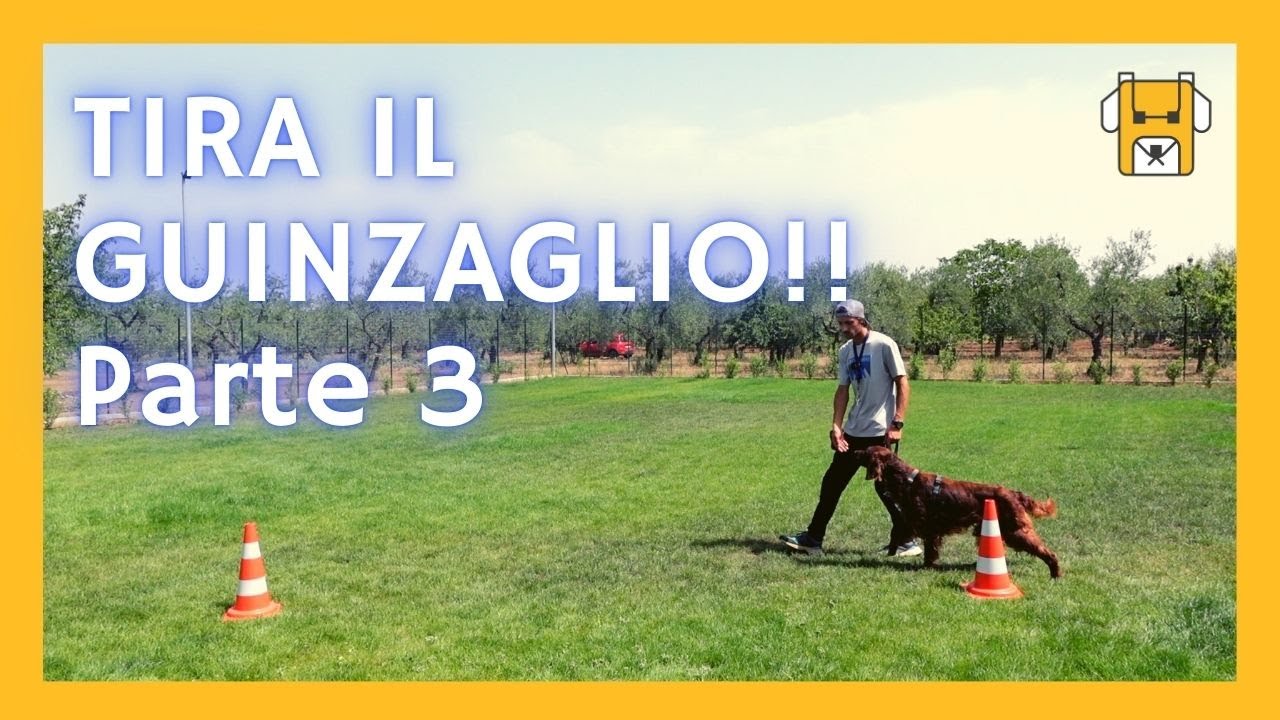 CANE che TIRA IL GUINZAGLIO - parte 3 - lezione 9