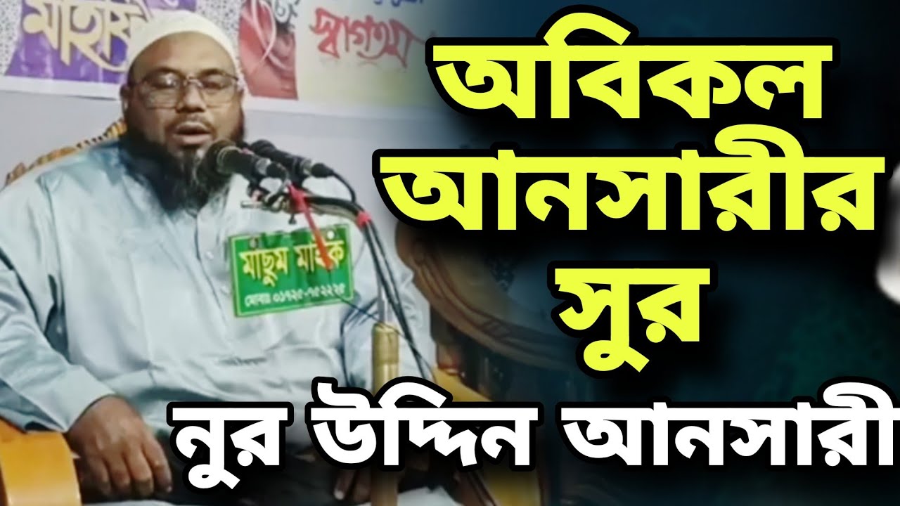 অবিকল জুবায়ের আহমদ আনসারীর সুর | নুর উদ্দিন আনসারী দয়ামিরী ওয়াজ | Nur Uddin Ansari Doyamiri Waz