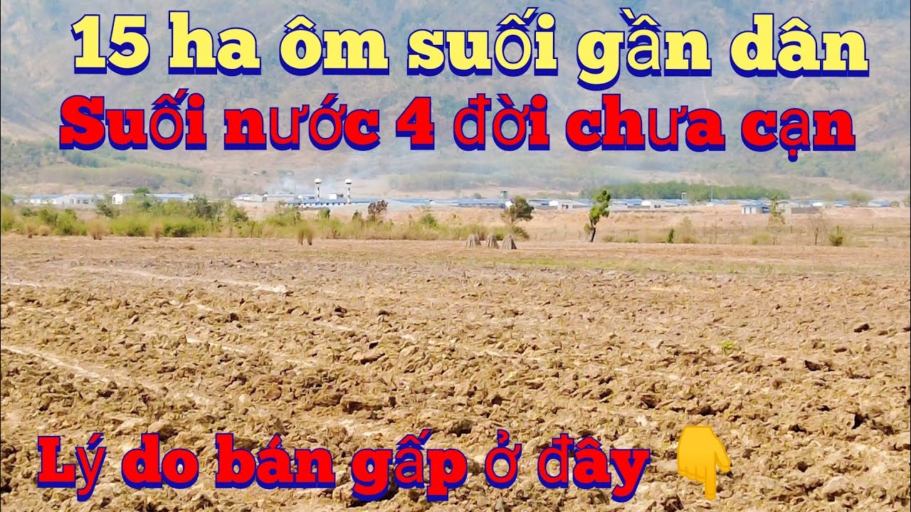 Cần nhượng 15 ha ốm suối gần dân đất bằng, lh 0983803253
