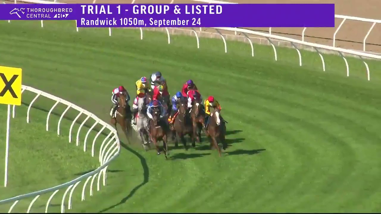 Classique Legend Randwick Barrier Trial 2
