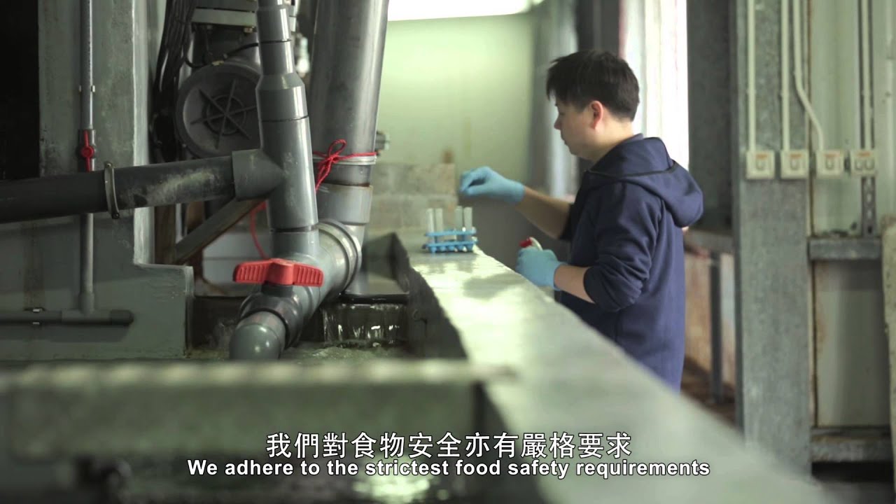 公司簡介 - 亞洲水產養殖科技有限公司 - 綠洲花尾龍躉