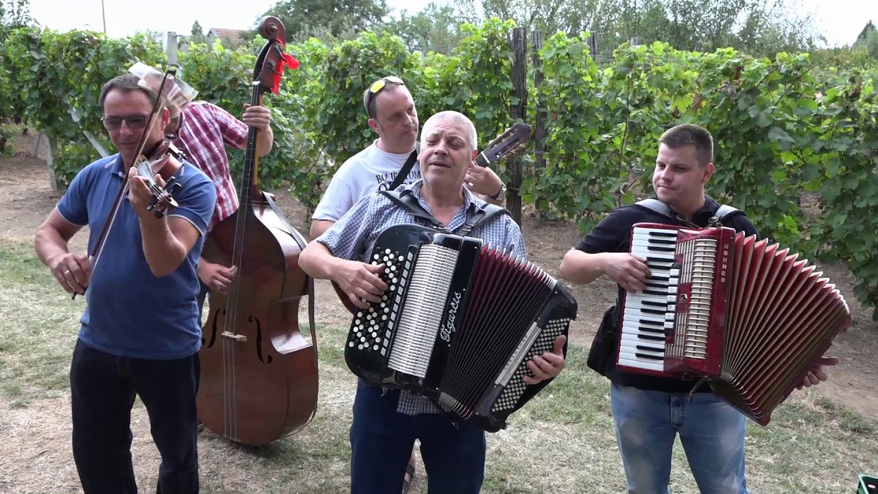 Pazovsky Orchster   Ked som isla vcera vecer, Ninto krajsie jak do domu