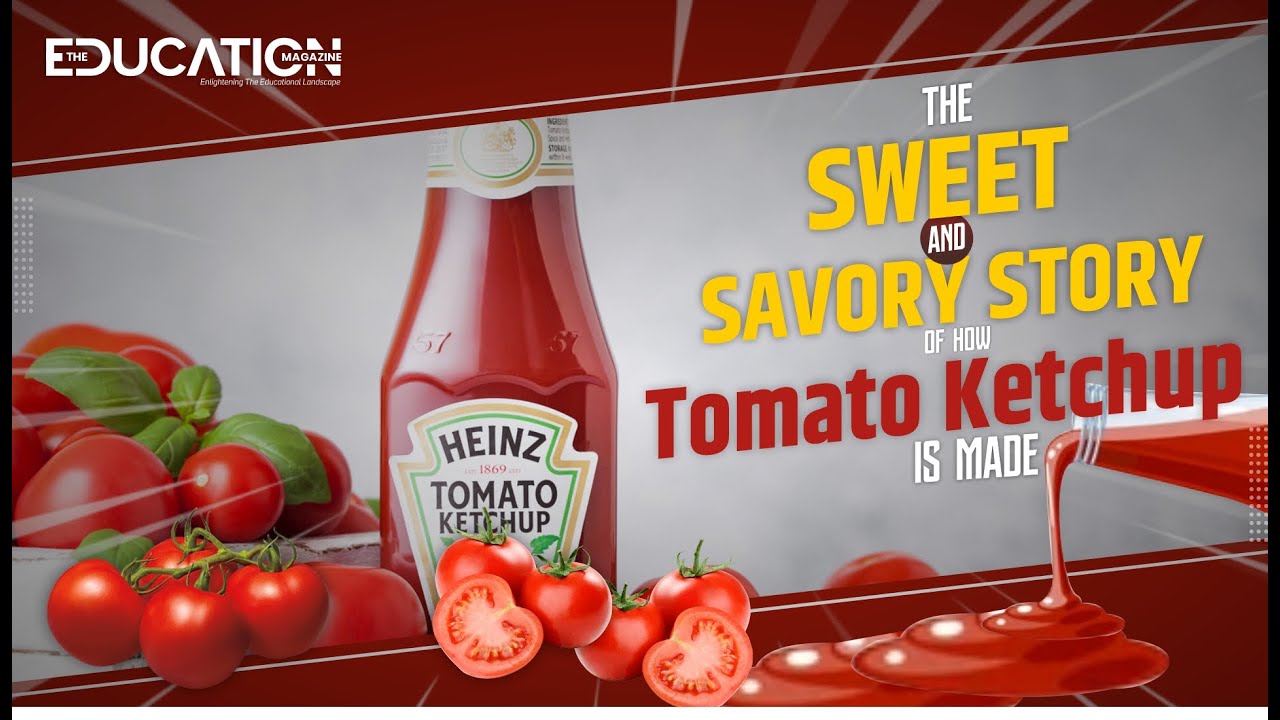 The Sweet and Savory Story of how Tomato Ketchup is made | The Education Magazine |