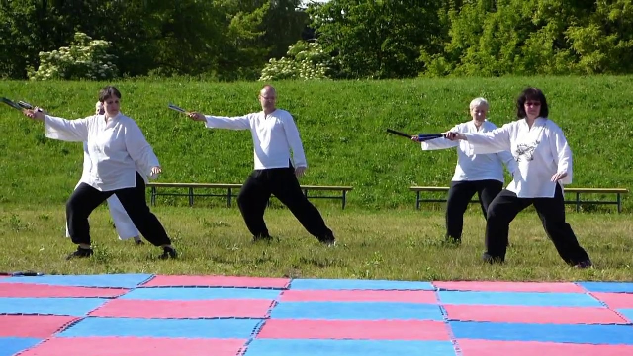 Taichi kung fu vejir