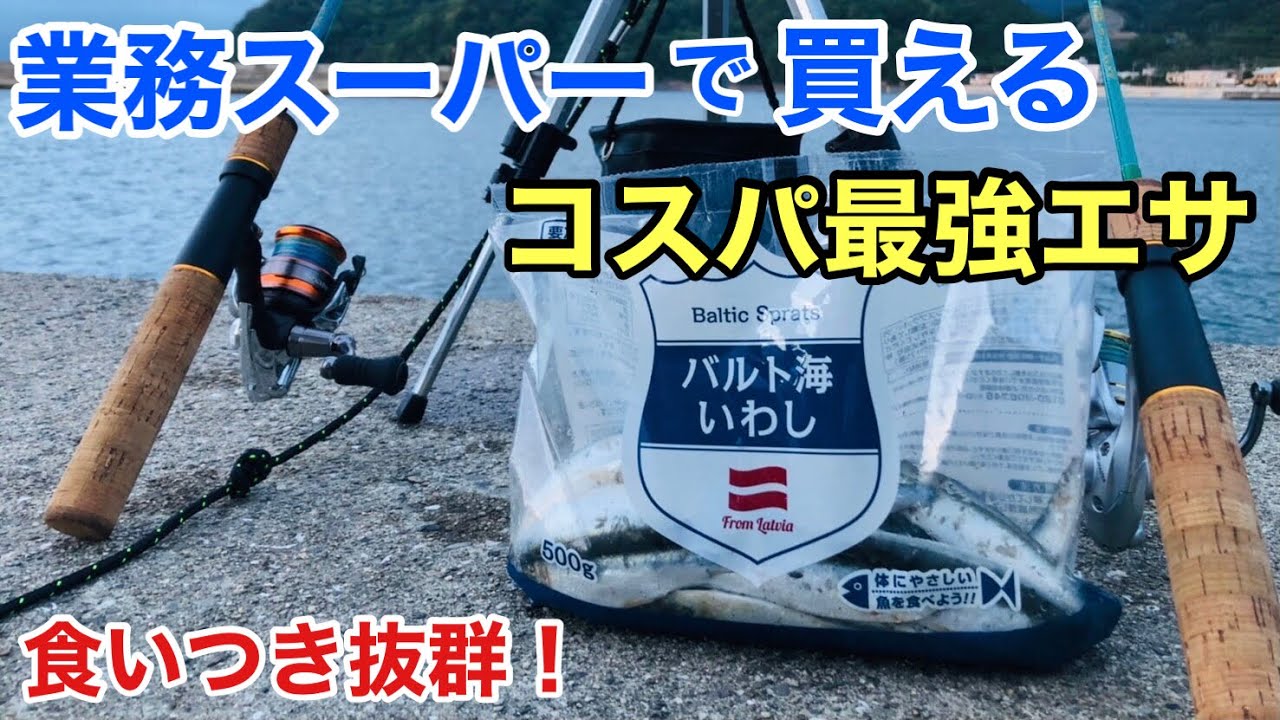 200円でめっちゃ釣れる！業務スーパーの「冷凍イワシ」が最高のエサだった…