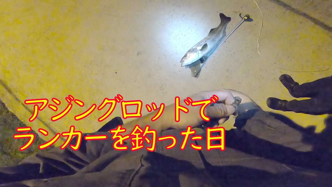 ランカーを釣った日【シーバス】