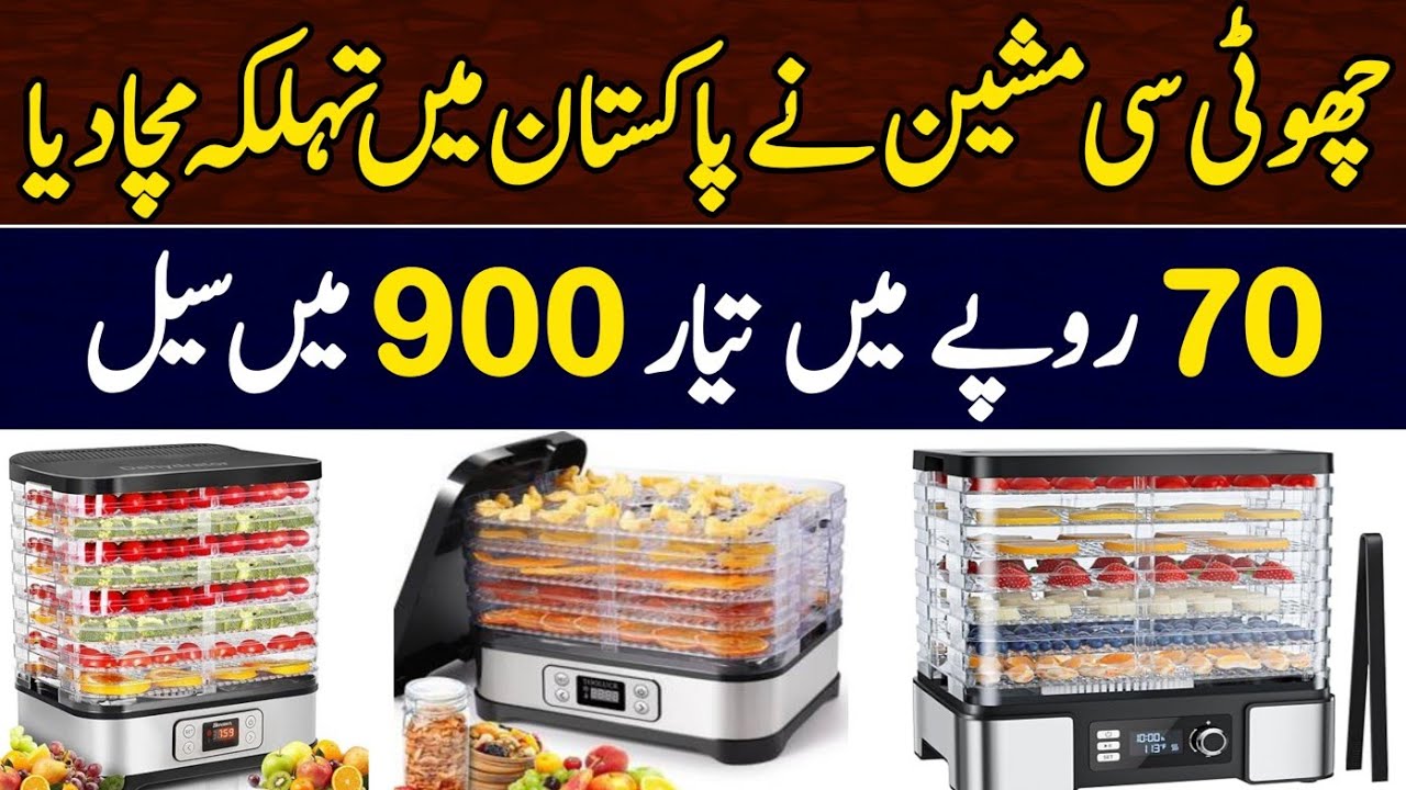How to Start Dehydration Business in Pakistan | Guava Dehydration | Complete Guide