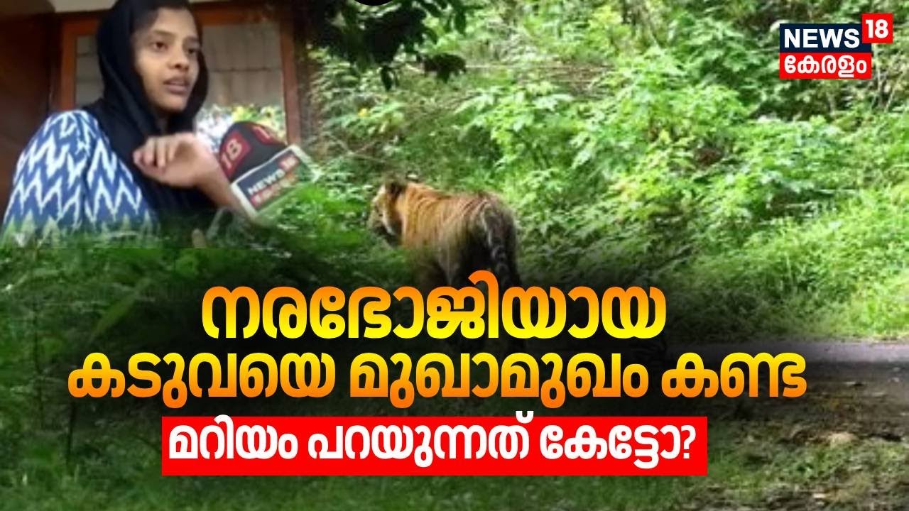 നരഭോജിയായ കടുവയെ മുഖാമുഖം കണ്ട മറിയം പറയുന്നത് കേട്ടോ? | Wayanad Tiger Attack | Pancharakolly