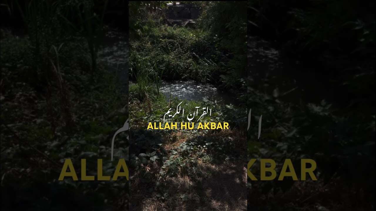 Sabr in Quran: The Power of Patience in the Words of Allah|