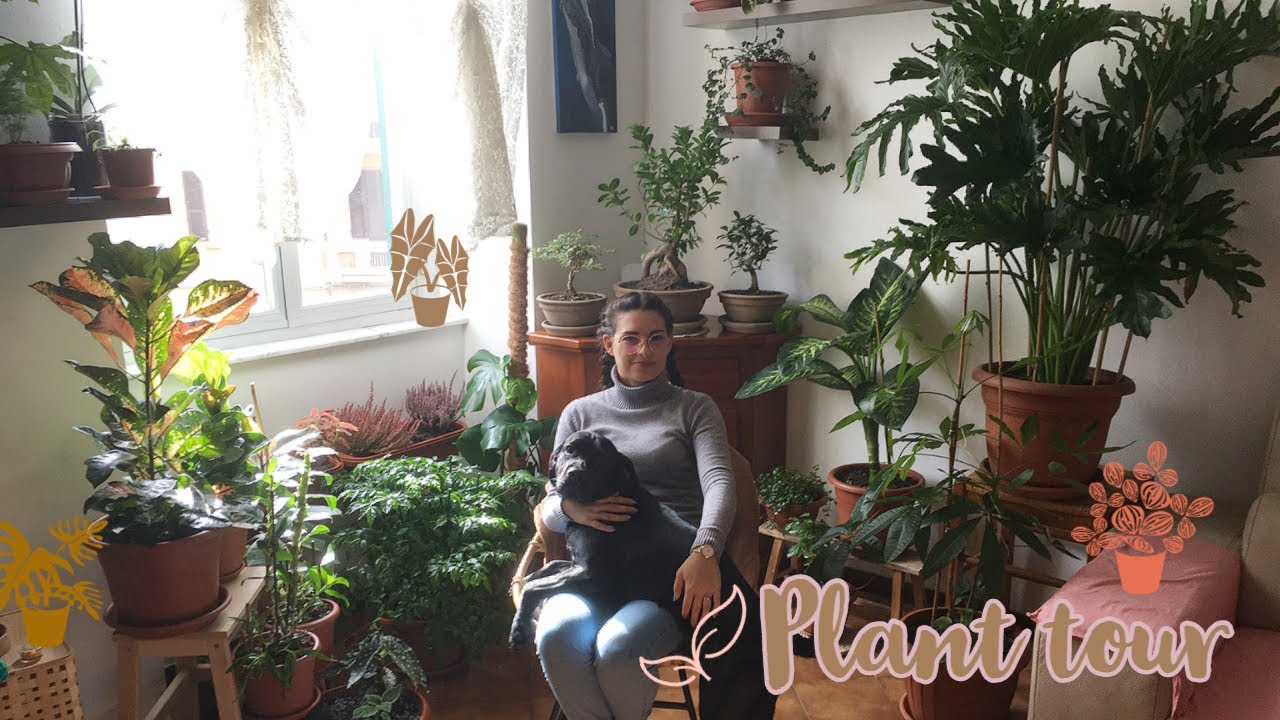 PLANT TOUR 🌱 più di 100 piante in appartamento 🍃