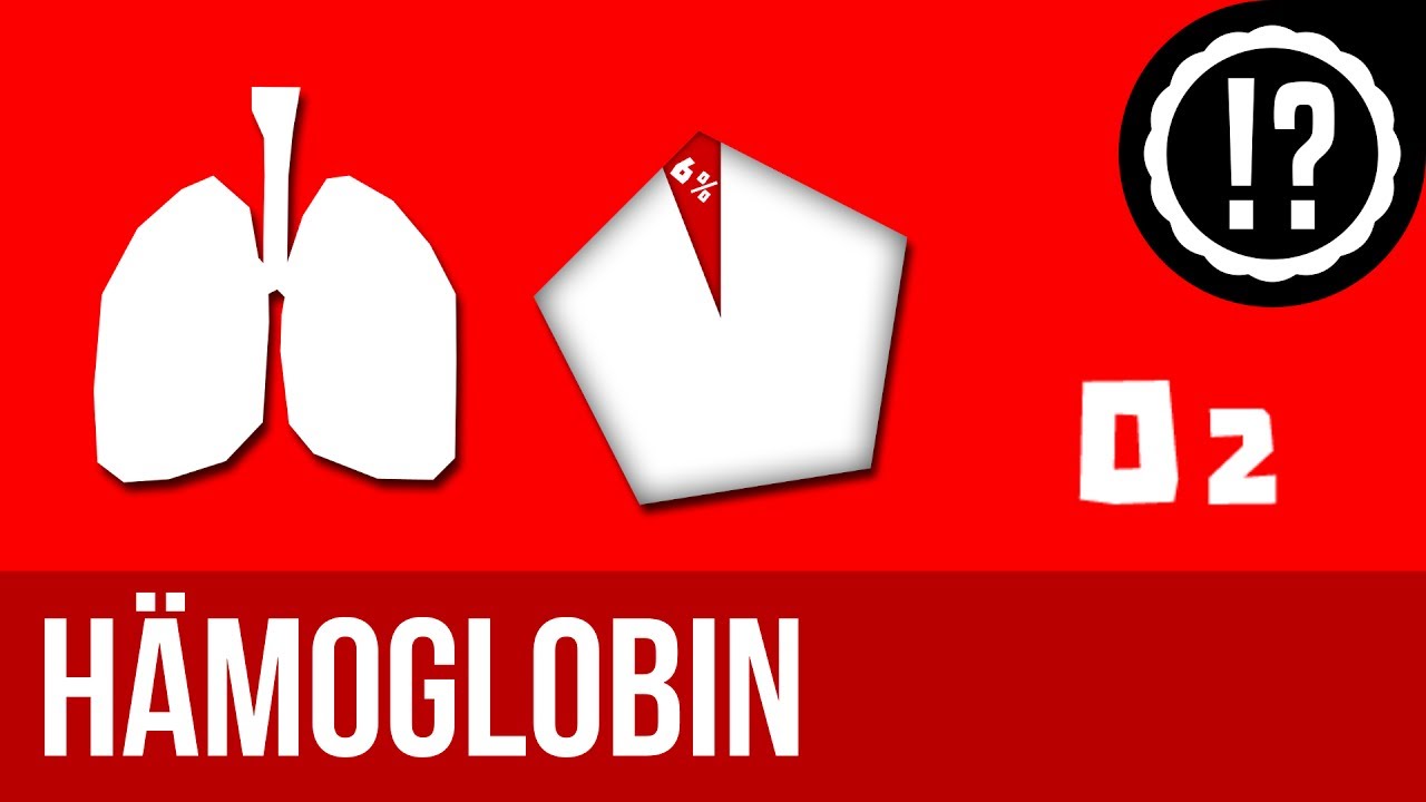 H&auml;moglobin einfach erkl&auml;rt