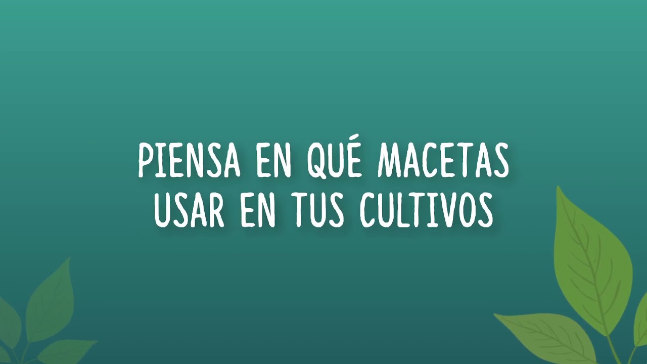 Mad Rocket como funcionan en Espa&ntilde;ol