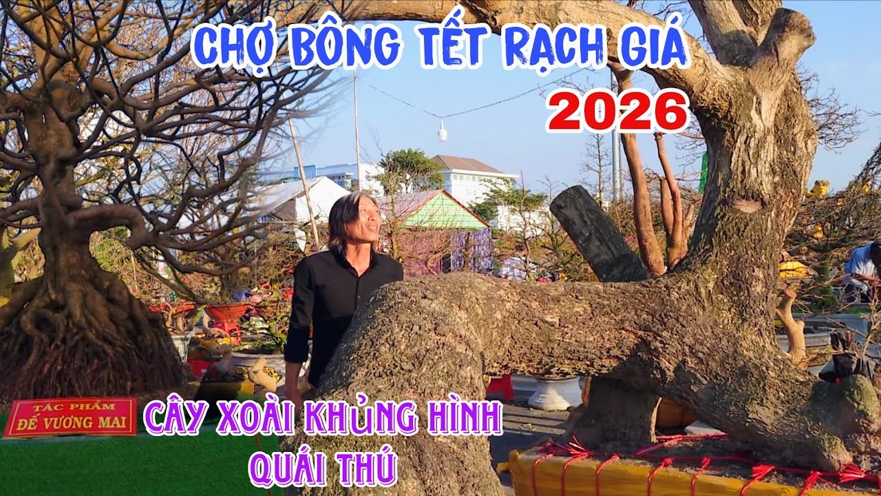 Chợ Bông Tết Rạch Giá 2026 Bắt Gặp Cây Xoài Khủng Hình Thù Kỳ Lạ 170 Triệu 