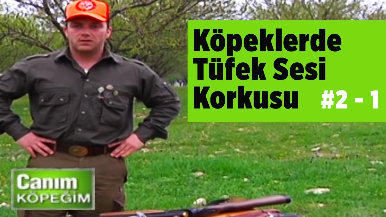 Köpeklerde Tüfek Sesi Korkusu Canım Köpeğim Sezon 2_B1 YABAN TV