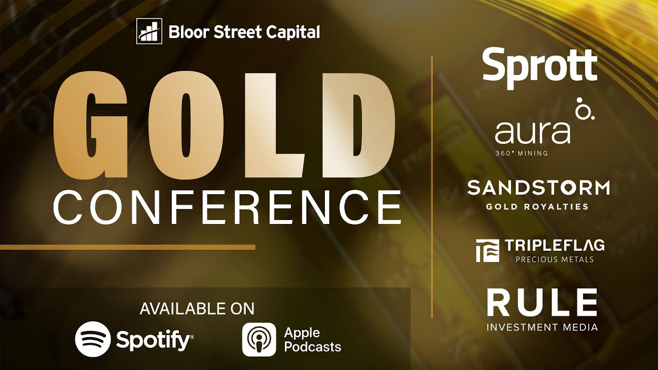 Gold and Gold Stocks in 2024 - John Hathaway Rick Rule Jim Rogers