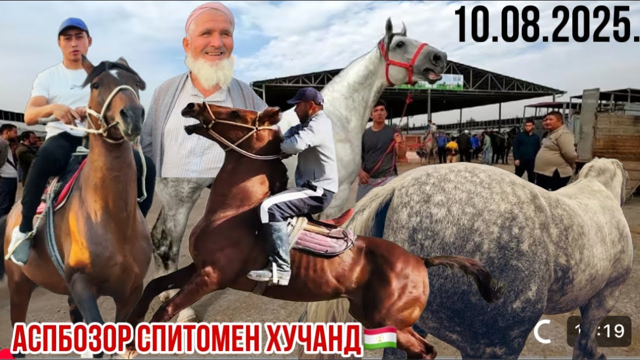 OT BOZOR Аспбозор Спитомен Хучанд🇹🇯 10 августа 2025 г.