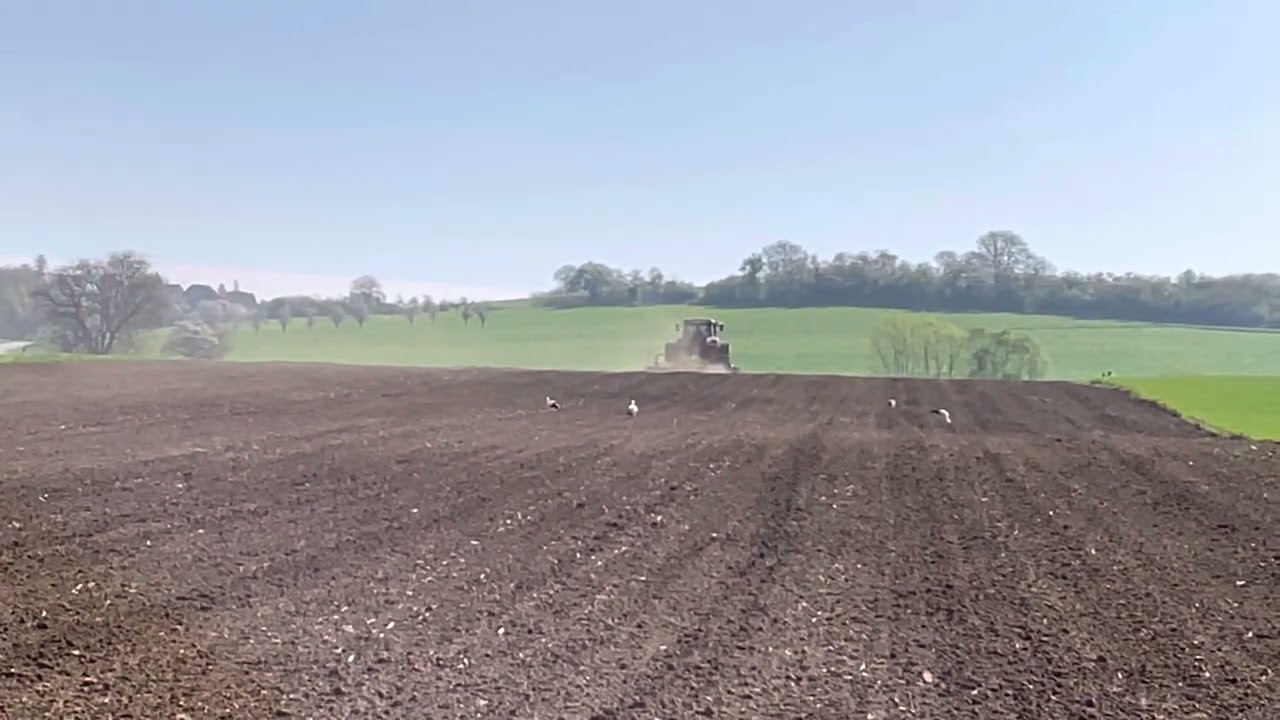Steyr Profi 6150 CVT & Rabewerk