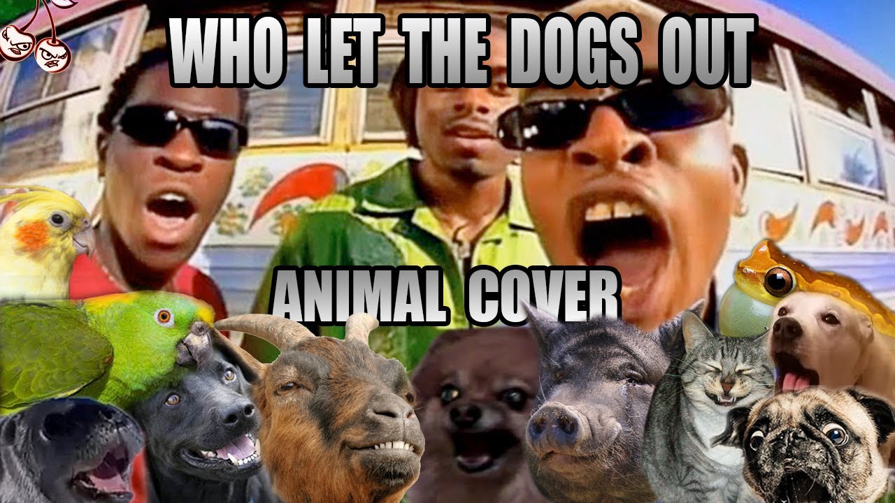 Baha Men - Who Let The Dogs Out? (Animal Cover)