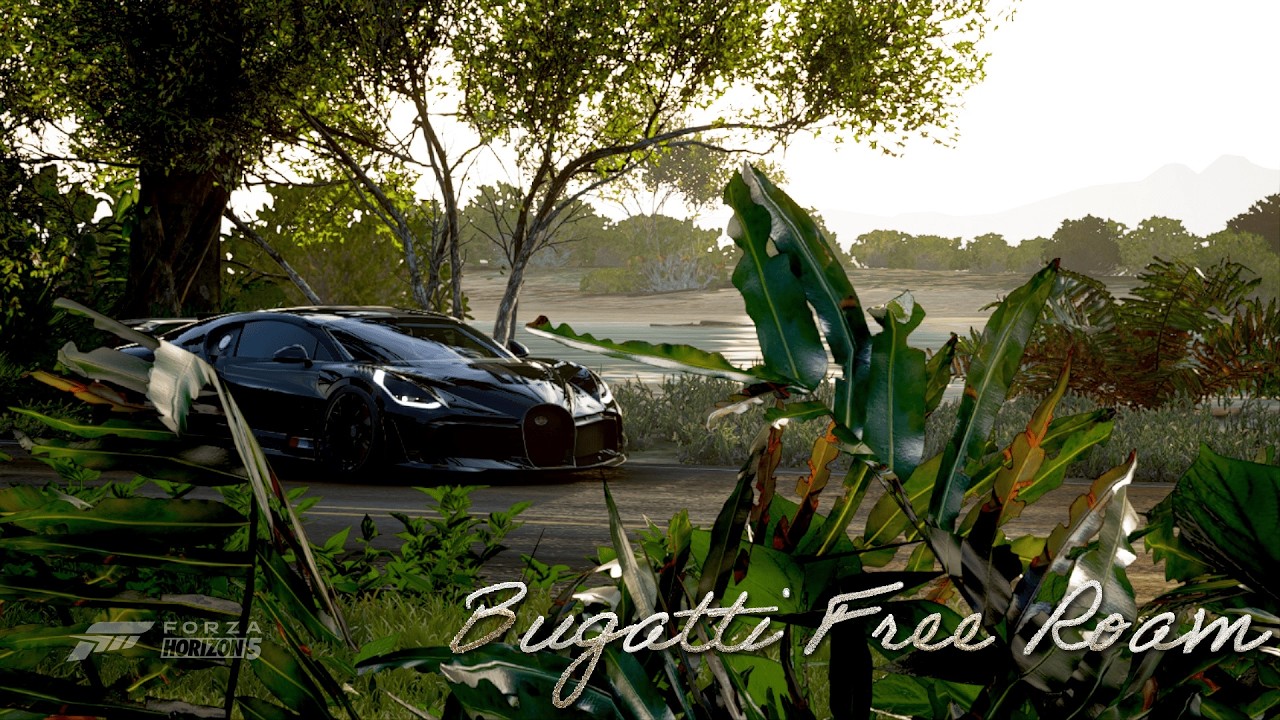 Vibing at hypercar speeds (ft.Bugatti) | Forza Horizon 5 | Gameplay |      #gaming #forzahorizon5