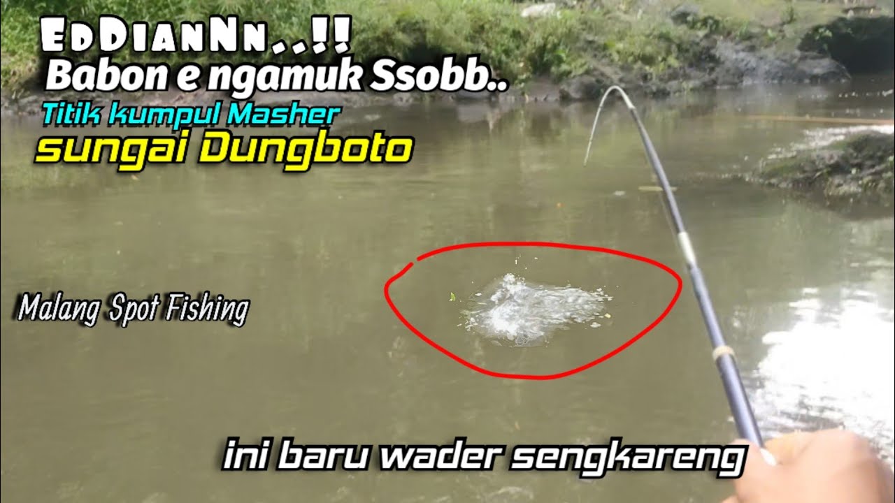 Spot Mancing Wader Sengkareng Arek Malang Favorit..!!