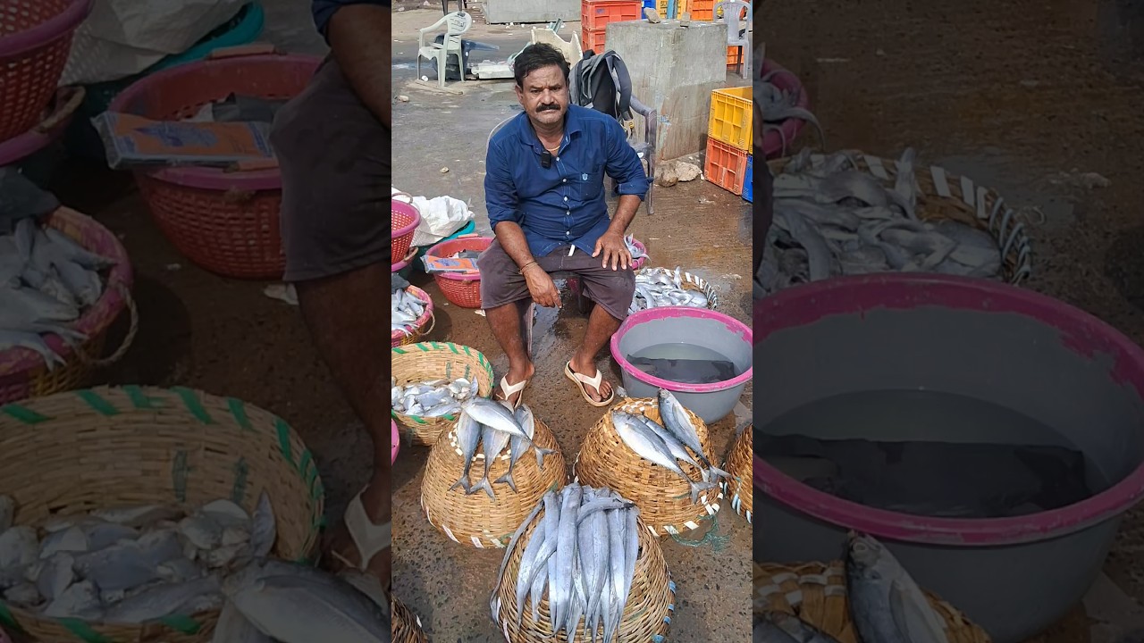 💥🐠 Kasimedu fresh Ribbon fish very low rate | Kasimedu fish market #vaalaifish #fish #shorts #viral