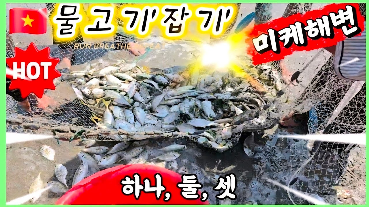 흥미진진한🇻🇳물고기 잡이 & 민초들의 생생한 삶의 현장: 미케 연안에서...(Vlog 4) 
