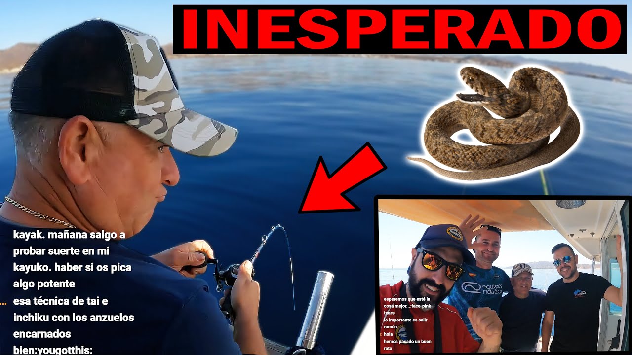 Pesca 𝐀𝐋 𝐕𝐈𝐕𝐎 y con 𝐈𝐍𝐂𝐇𝐈𝐊𝐔 🔴𝐄𝐍 𝐃𝐈𝐑𝐄𝐂𝐓𝐎 con 𝐑𝐄𝐒𝐔𝐋𝐓𝐀𝐃𝐎  𝐈𝐍𝐄𝐒𝐏𝐄𝐑𝐀𝐃𝐎  🐍🐍🐍 - JR131