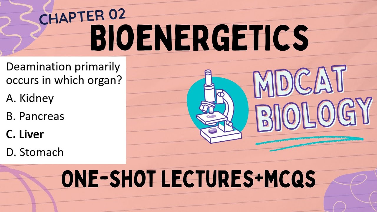 Bioenergetics MDCAT 2025 | One Shot Lecture + Important MCQs | MDCAT Biology Bioenergetics