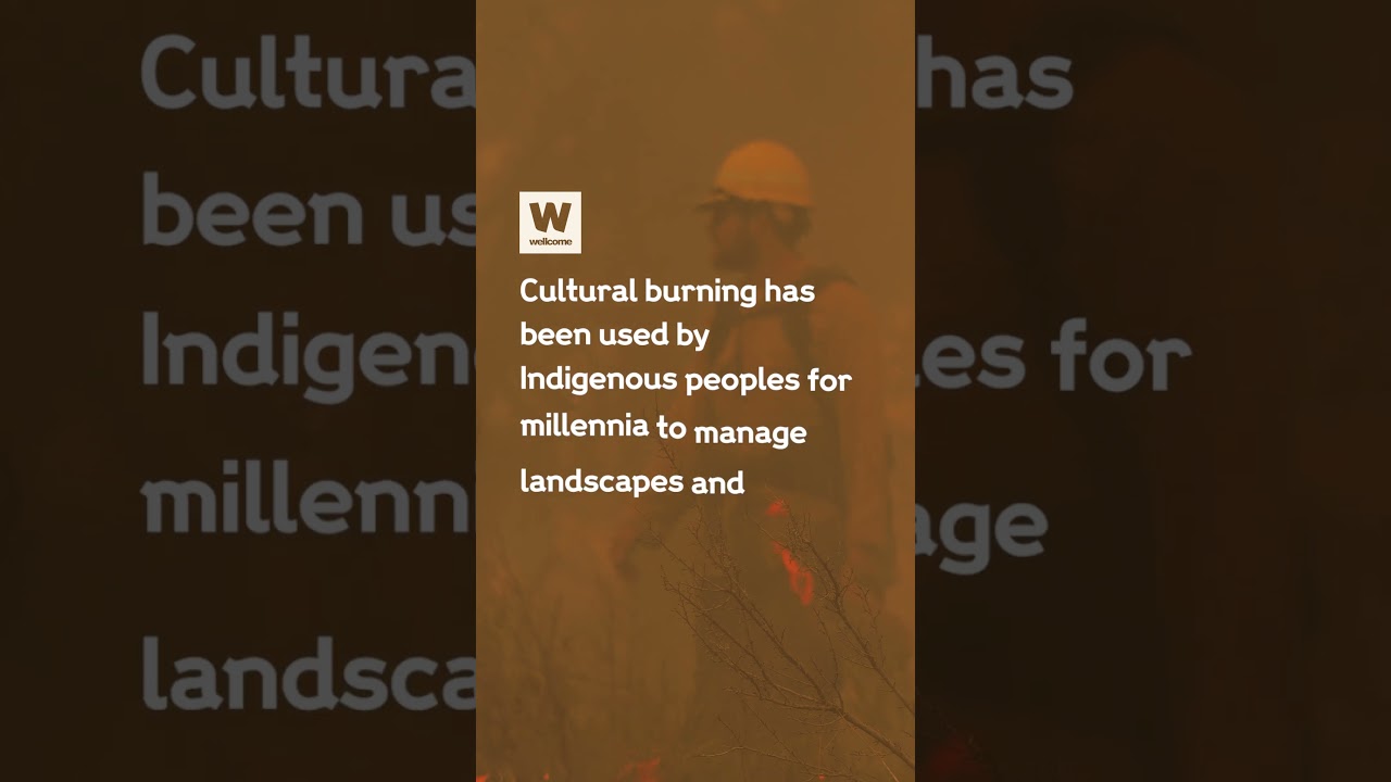 Can we fight wildfires with fire?
