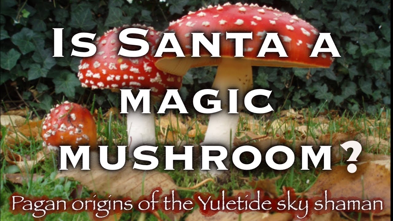 Is Santa a Magic Mushroom? Pagan origins of the Yule Man (Christmas Folklore and Mythology)