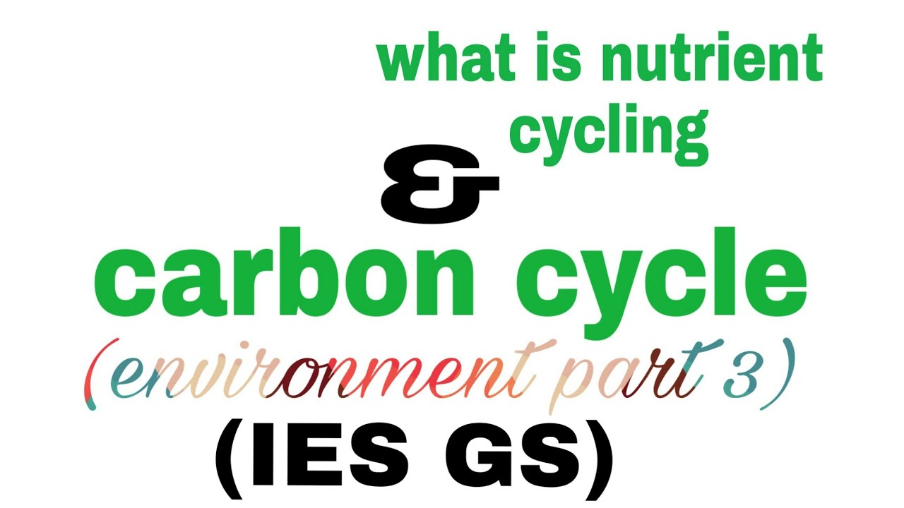 what is nutrient cycle and carbon cycle .IES GS environment and energy part3