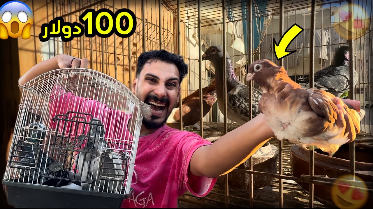 اشتريت اغرب نوع حمام | واغرب أنواع الكلاب😍